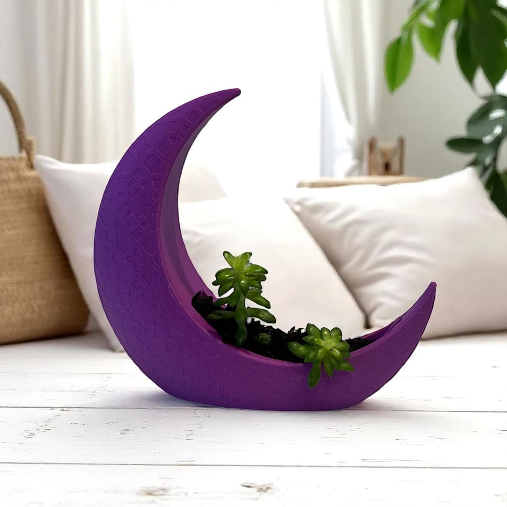 Purple Crescent Moon Succulent Planter with Shooting Star Sedum, Celestial Spiritual Plant Gift - Winterberry Hearth
