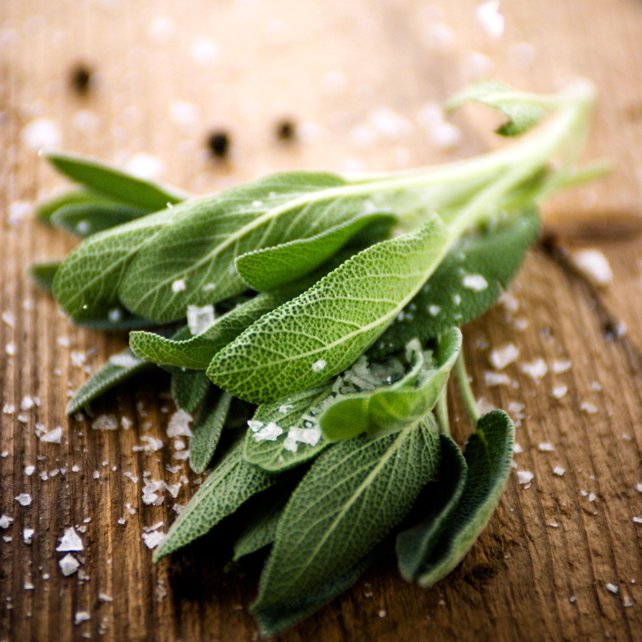 Sage Salt, Gourmet Herb Savory Seasoning, Finishing Salt for Turkey, Potatoes, Autumn Cooking - Winterberry Hearth