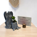 Silver Angel 777 Succulent Planter with Sedum Adolphi, Spiritual Luck and Alignment Gift - Winterberry Hearth