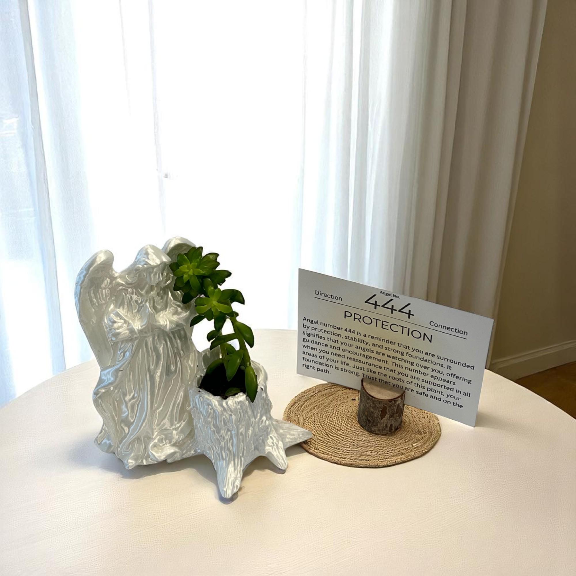 White Angel 444 Succulent Planter with Sedum Adolphi, Spiritual Protection Plant Gift Décor - Winterberry Hearth