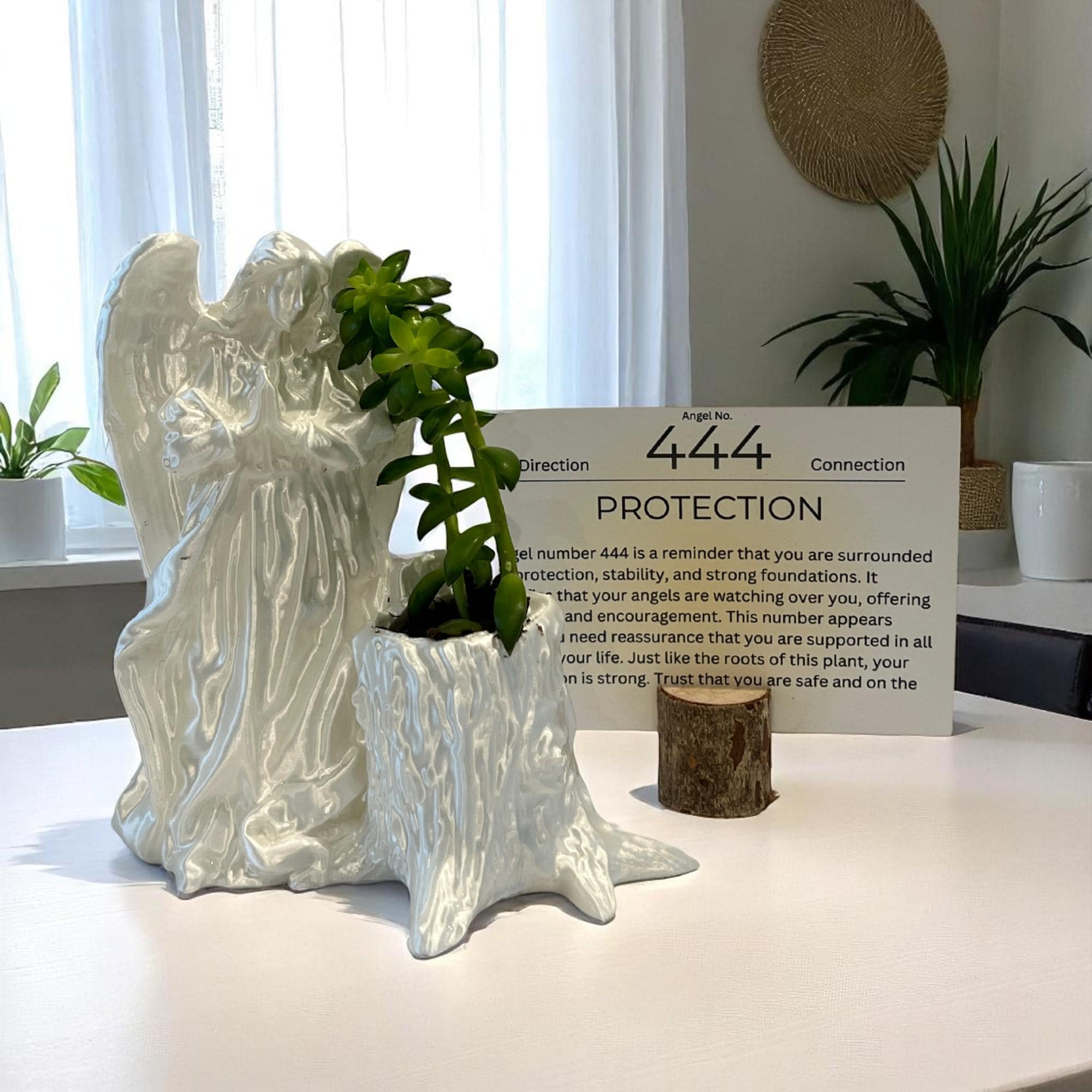 White Angel 444 Succulent Planter with Sedum Adolphi, Spiritual Protection Plant Gift Décor - Winterberry Hearth