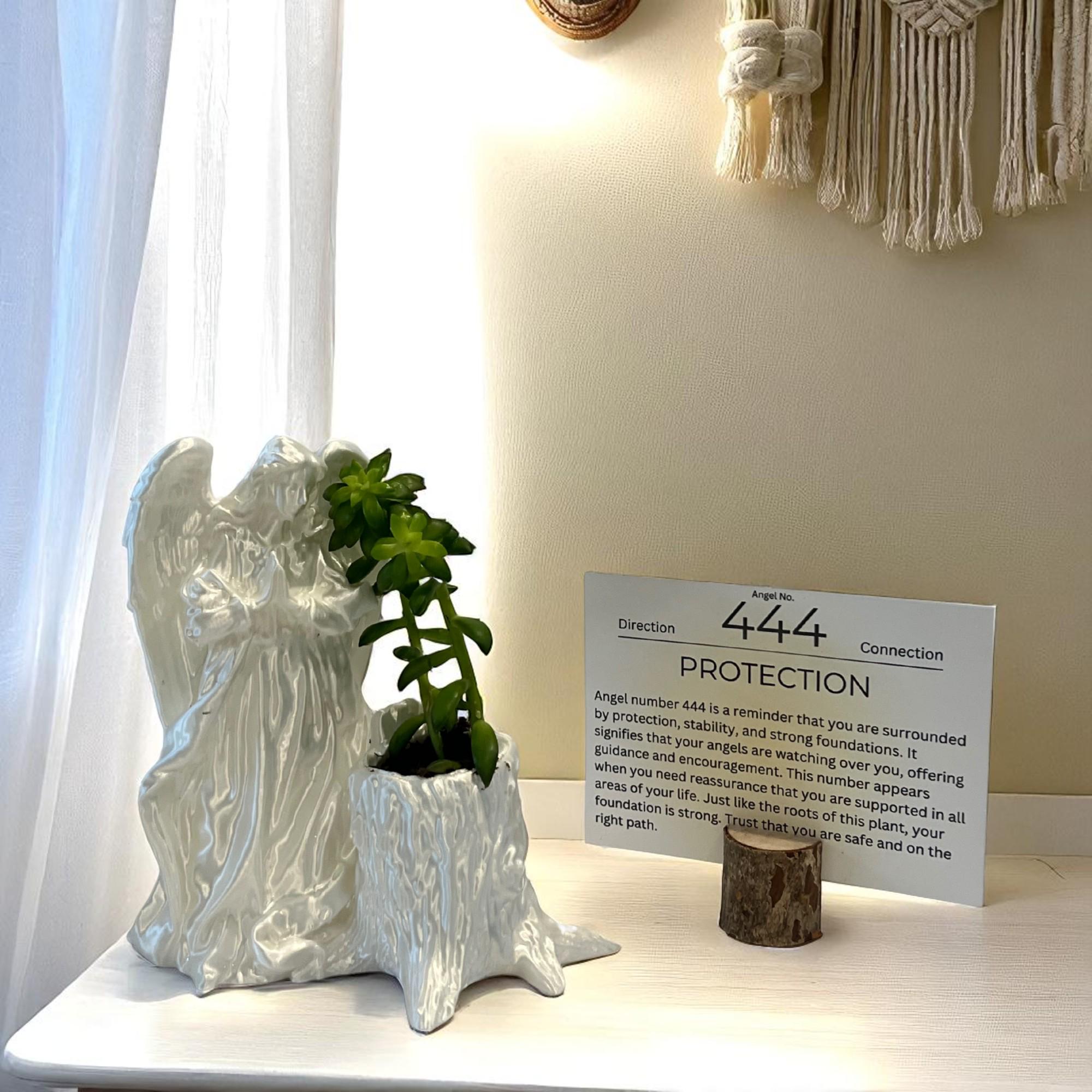 White Angel 444 Succulent Planter with Sedum Adolphi, Spiritual Protection Plant Gift Décor - Winterberry Hearth
