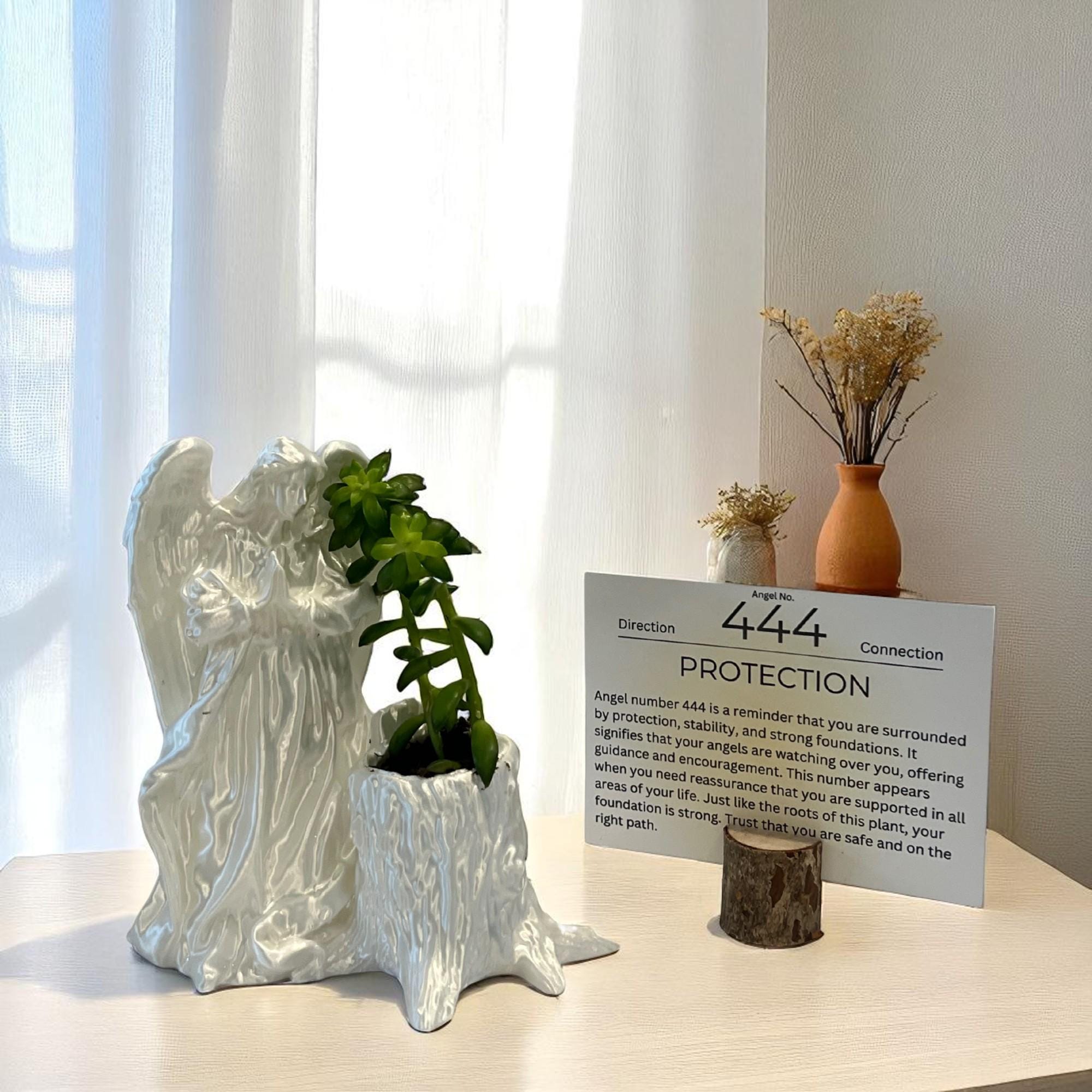 White Angel 444 Succulent Planter with Sedum Adolphi, Spiritual Protection Plant Gift Décor - Winterberry Hearth