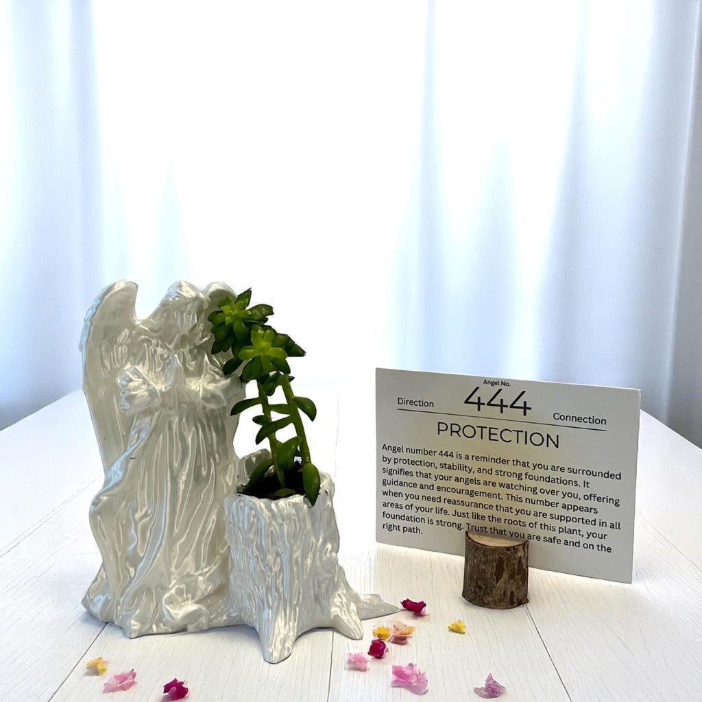 White Angel 444 Succulent Planter with Sedum Adolphi, Spiritual Protection Plant Gift Décor - Winterberry Hearth