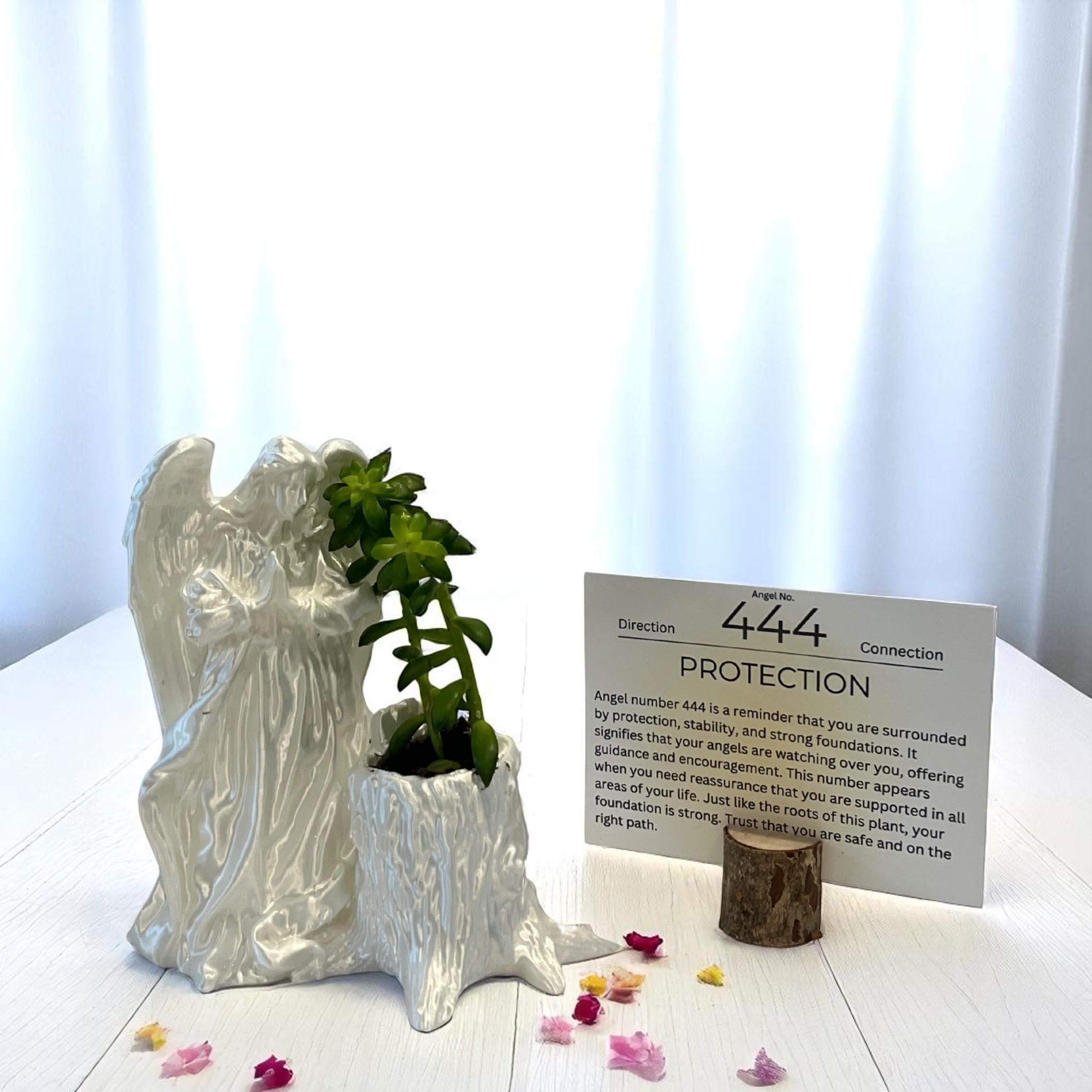 White Angel 444 Succulent Planter with Sedum Adolphi, Spiritual Protection Plant Gift Décor - Winterberry Hearth