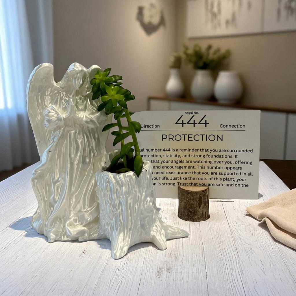 White Angel 444 Succulent Planter with Sedum Adolphi, Spiritual Protection Plant Gift Décor - Winterberry Hearth