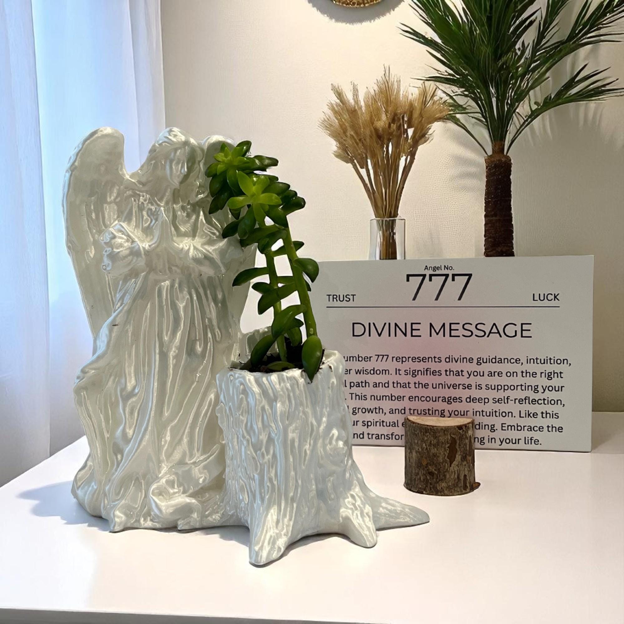 White Angel 777 Succulent Planter with Sedum Adolphi, Spiritual Protection and Luck Gift - Winterberry Hearth