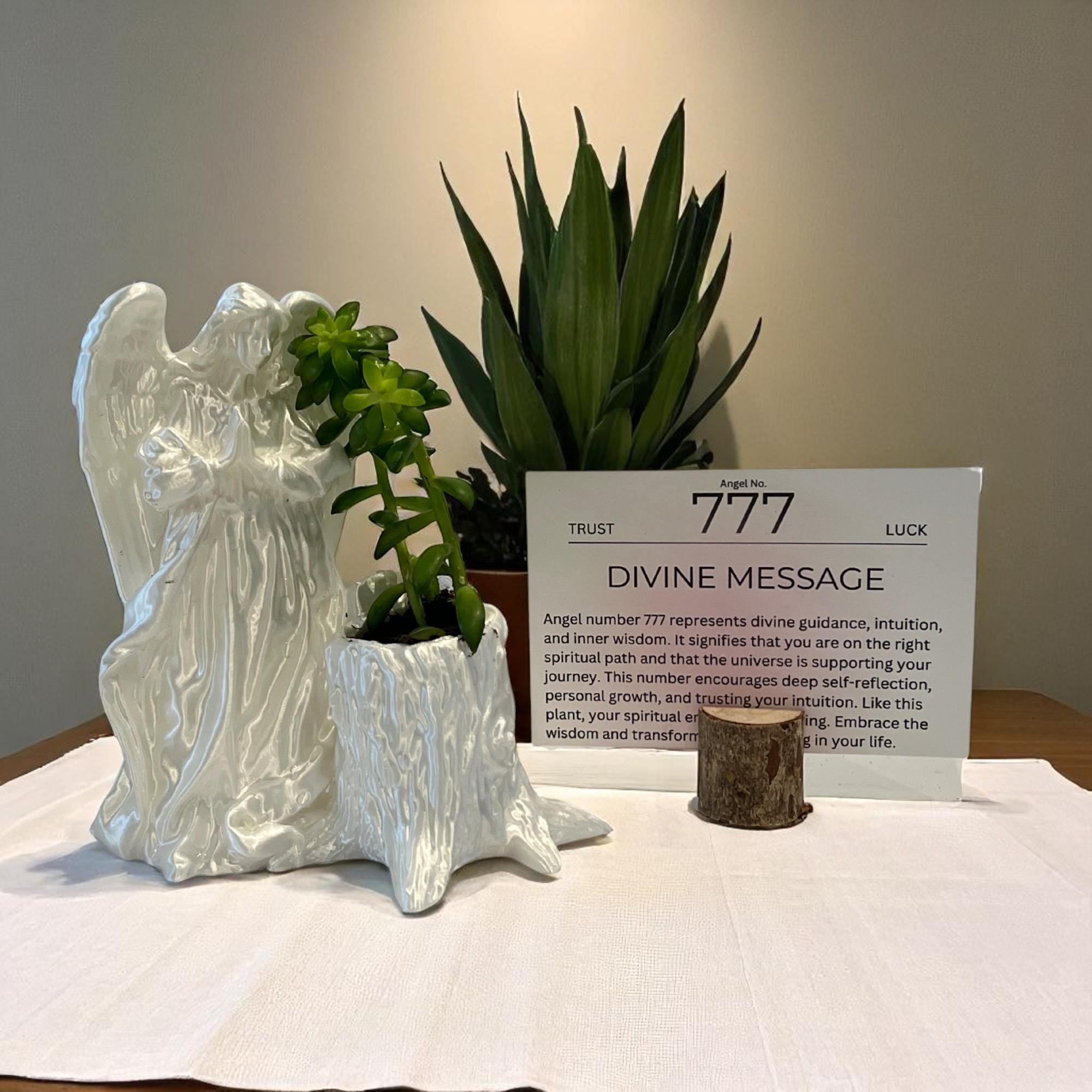 White Angel 777 Succulent Planter with Sedum Adolphi, Spiritual Protection and Luck Gift - Winterberry Hearth