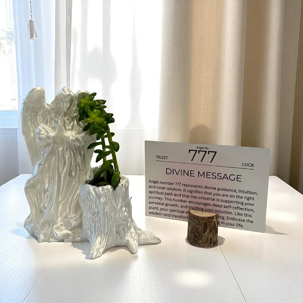 White Angel 777 Succulent Planter with Sedum Adolphi, Spiritual Protection and Luck Gift - Winterberry Hearth