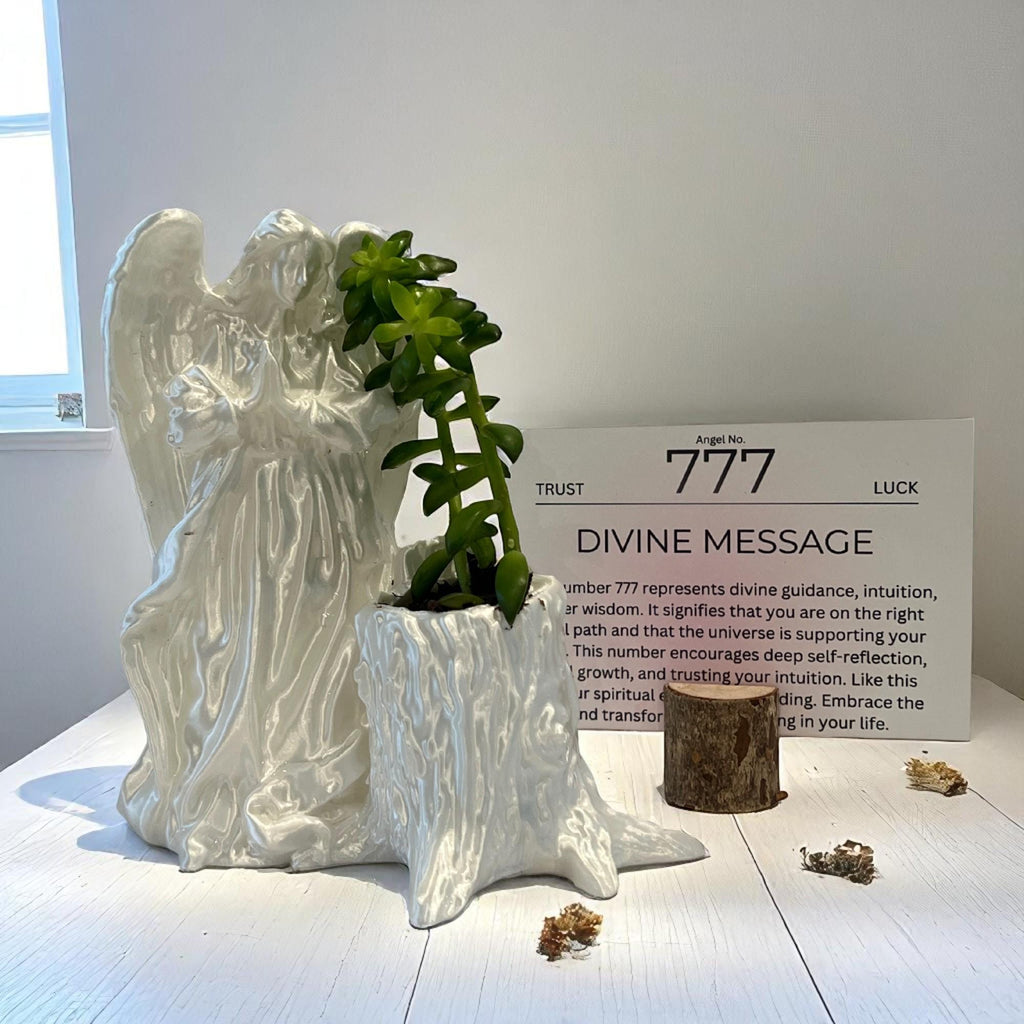 White Angel 777 Succulent Planter with Sedum Adolphi, Spiritual Protection and Luck Gift - Winterberry Hearth
