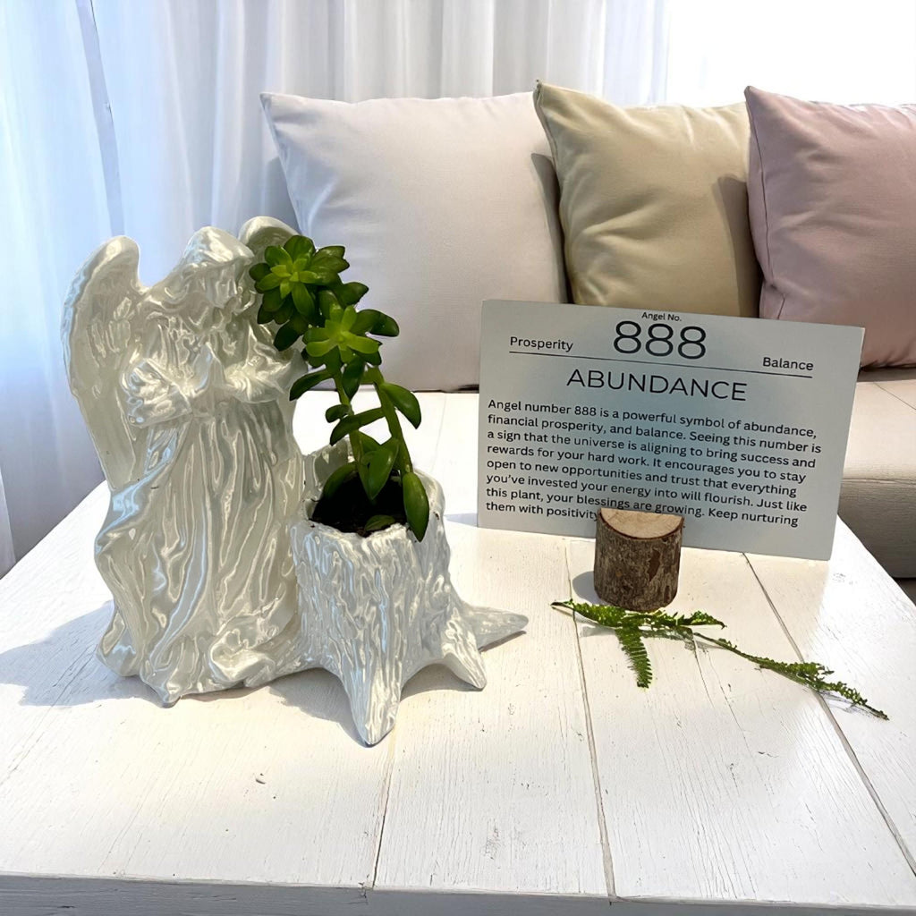 White Angel 888 Succulent Planter with Sedum Adolphi, Spiritual Abundance and Wealth Gift - Winterberry Hearth