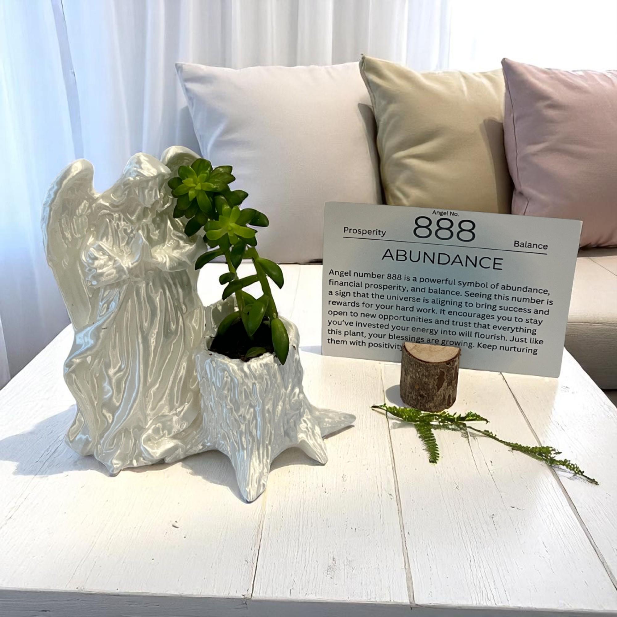 White Angel 888 Succulent Planter with Sedum Adolphi, Spiritual Abundance and Wealth Gift - Winterberry Hearth