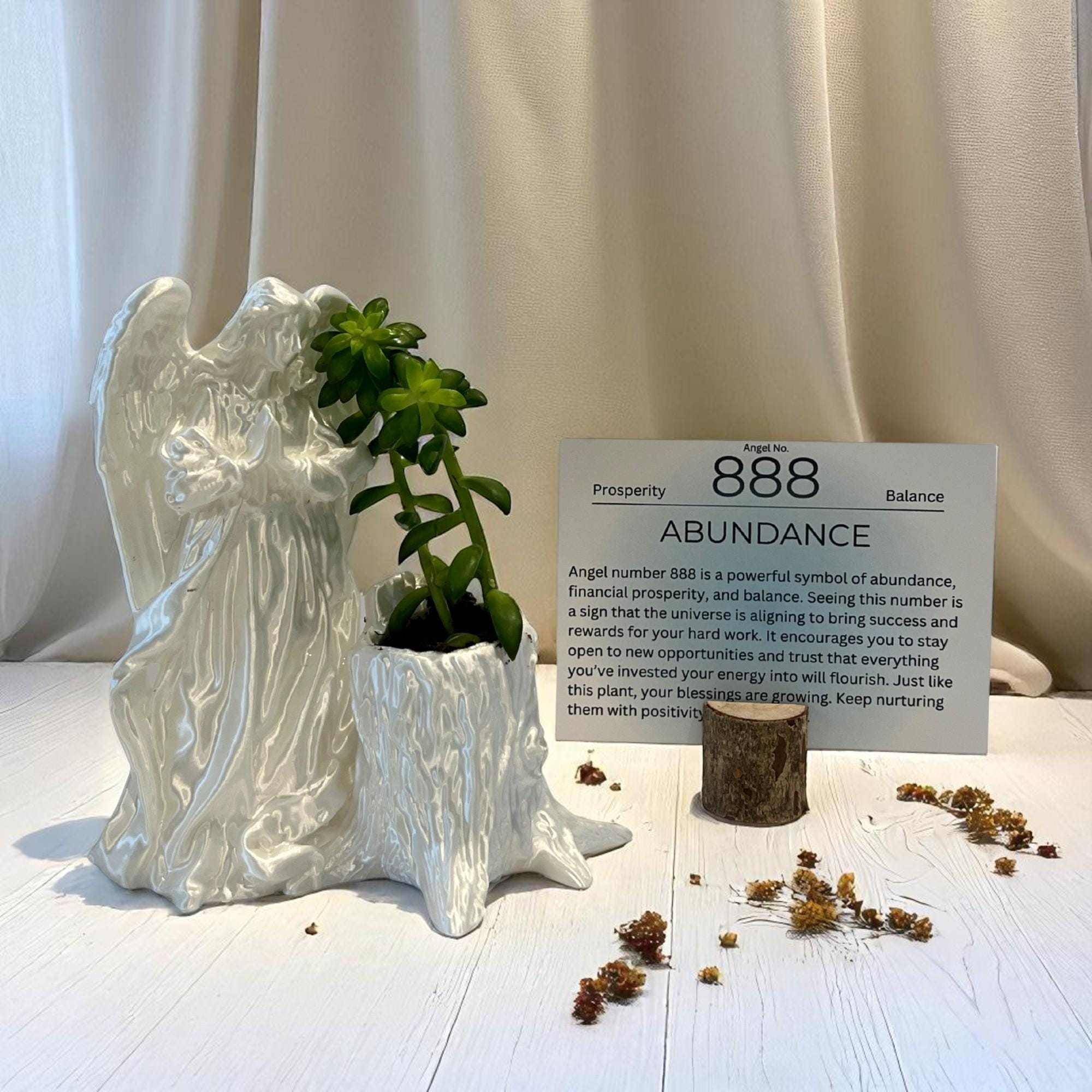 White Angel 888 Succulent Planter with Sedum Adolphi, Spiritual Abundance and Wealth Gift - Winterberry Hearth