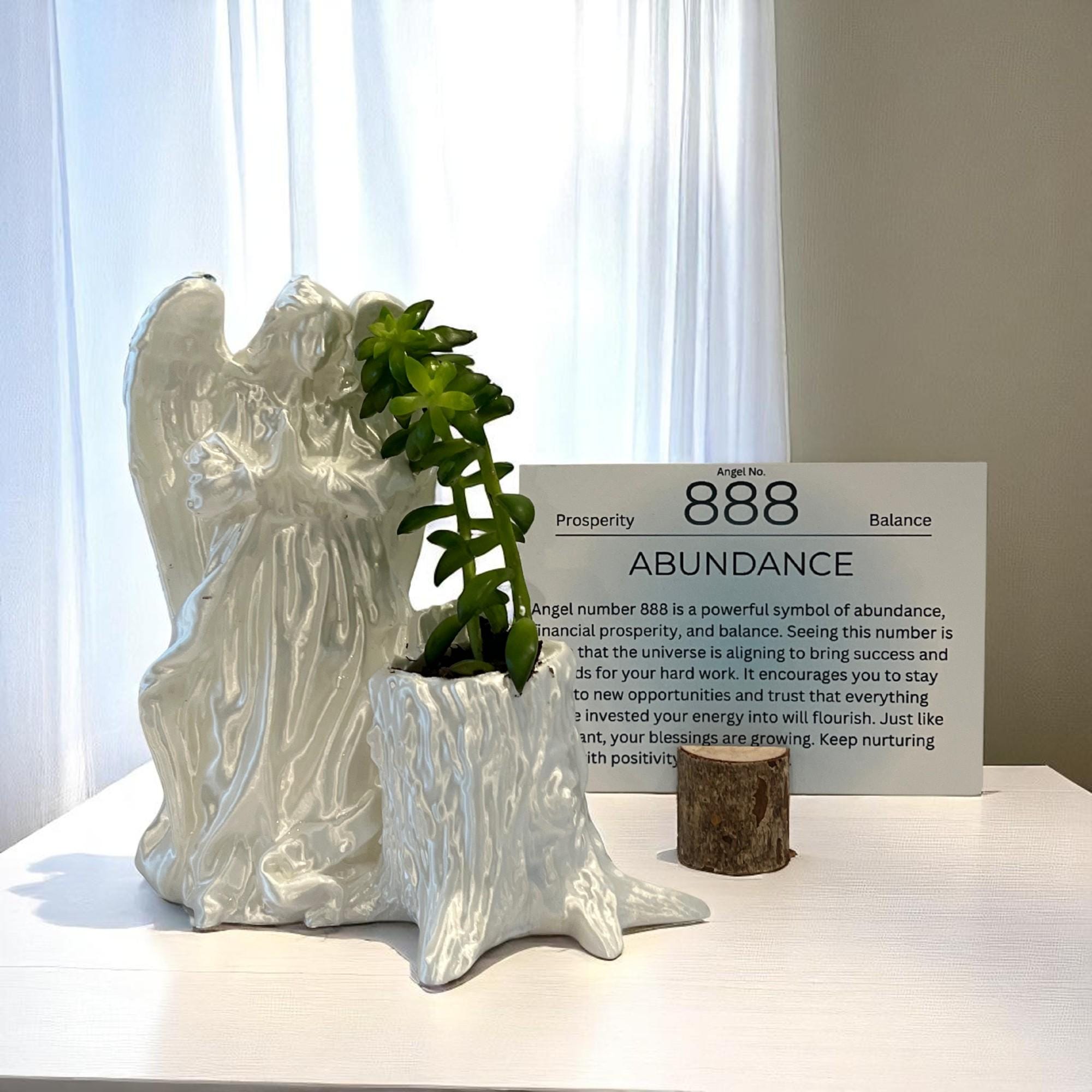 White Angel 888 Succulent Planter with Sedum Adolphi, Spiritual Abundance and Wealth Gift - Winterberry Hearth