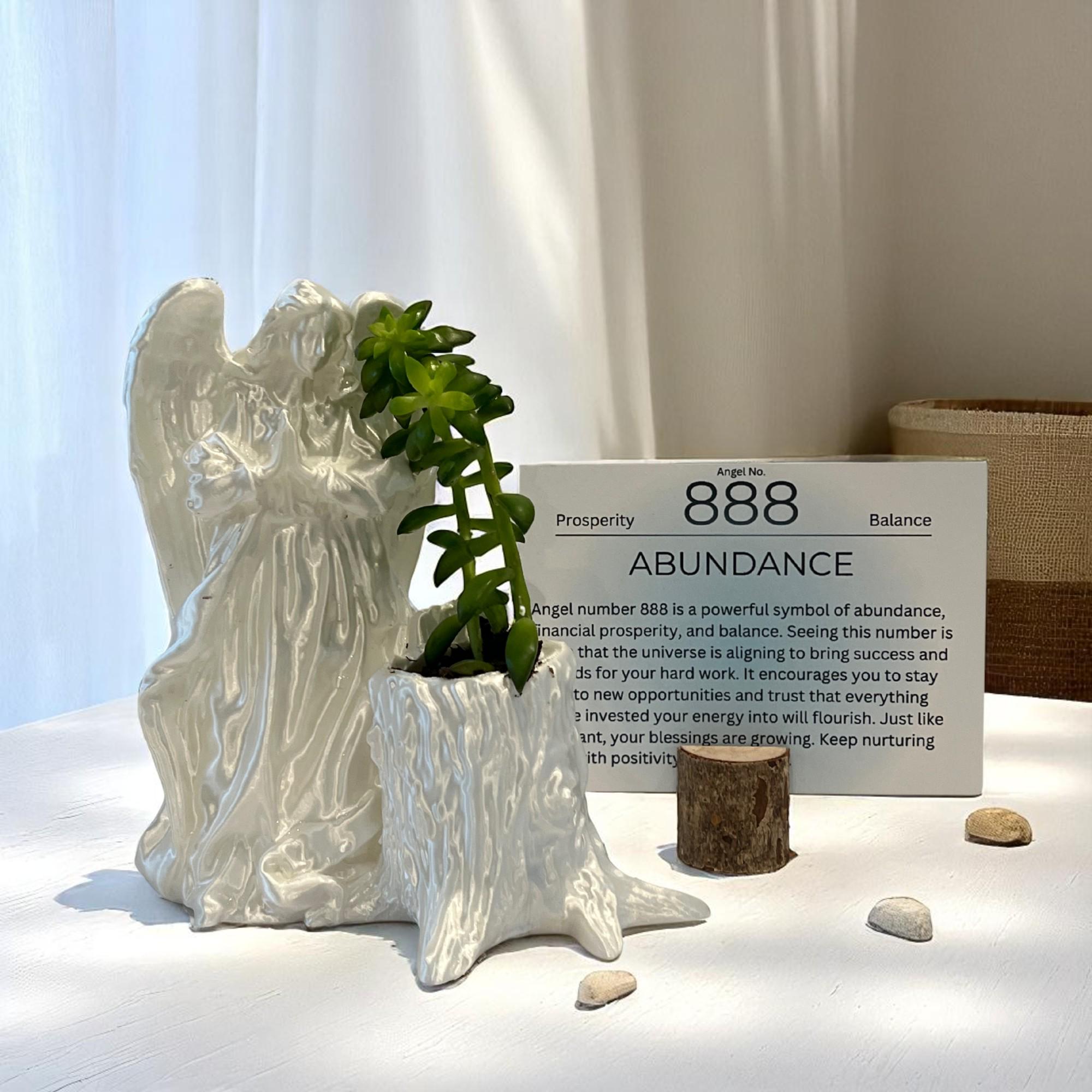 White Angel 888 Succulent Planter with Sedum Adolphi, Spiritual Abundance and Wealth Gift - Winterberry Hearth