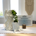 White Angel 888 Succulent Planter with Sedum Adolphi, Spiritual Abundance and Wealth Gift - Winterberry Hearth