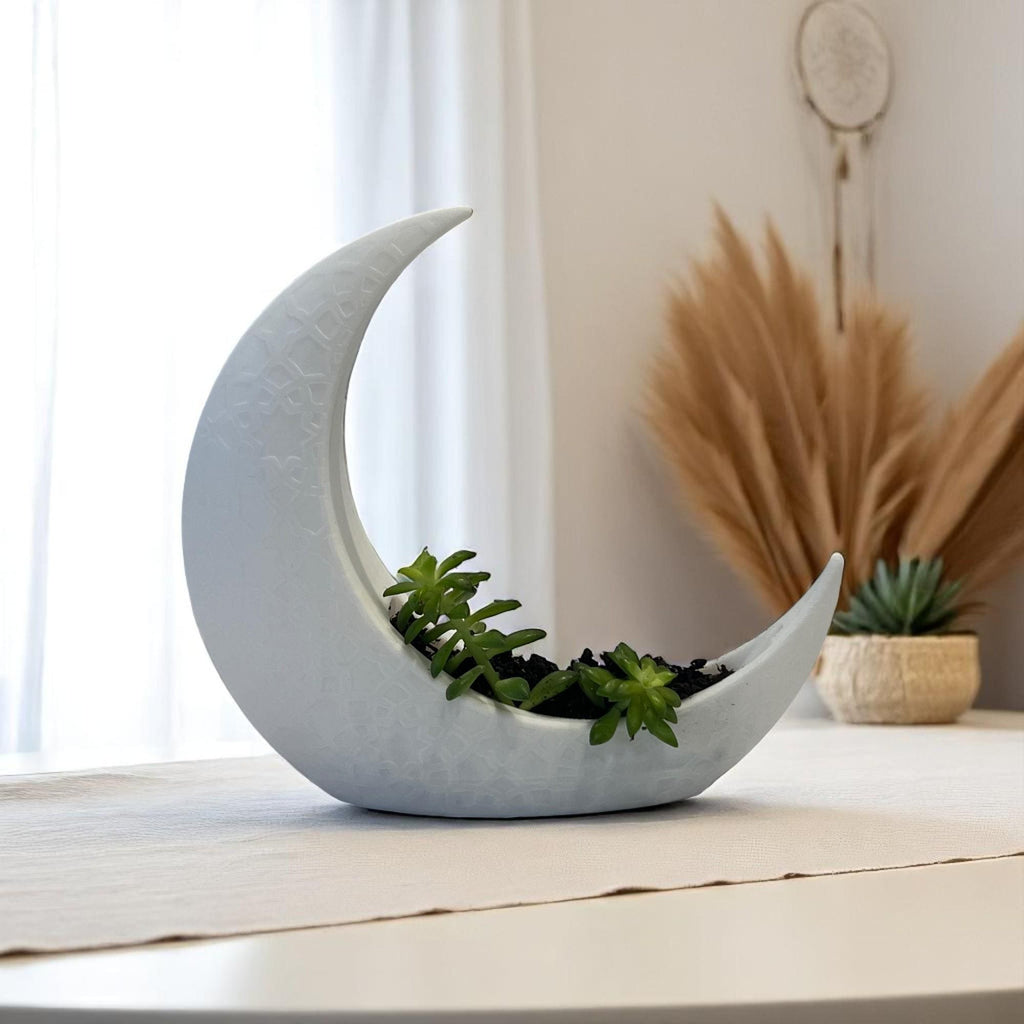 White Crescent Moon Succulent Planter with Shooting Star Sedum, Celestial Lunar Plant Gift - Winterberry Hearth