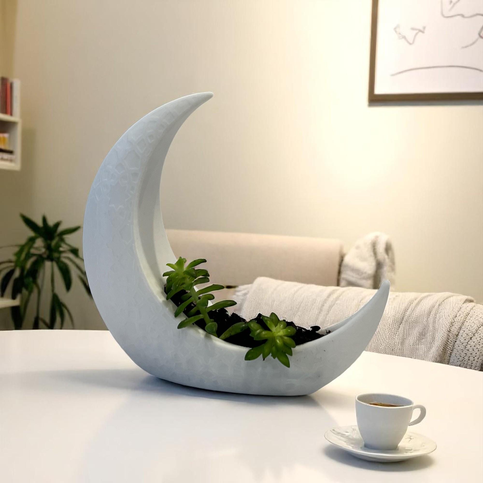 White Crescent Moon Succulent Planter with Shooting Star Sedum, Celestial Lunar Plant Gift - Winterberry Hearth