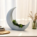 White Crescent Moon Succulent Planter with Shooting Star Sedum, Celestial Lunar Plant Gift - Winterberry Hearth