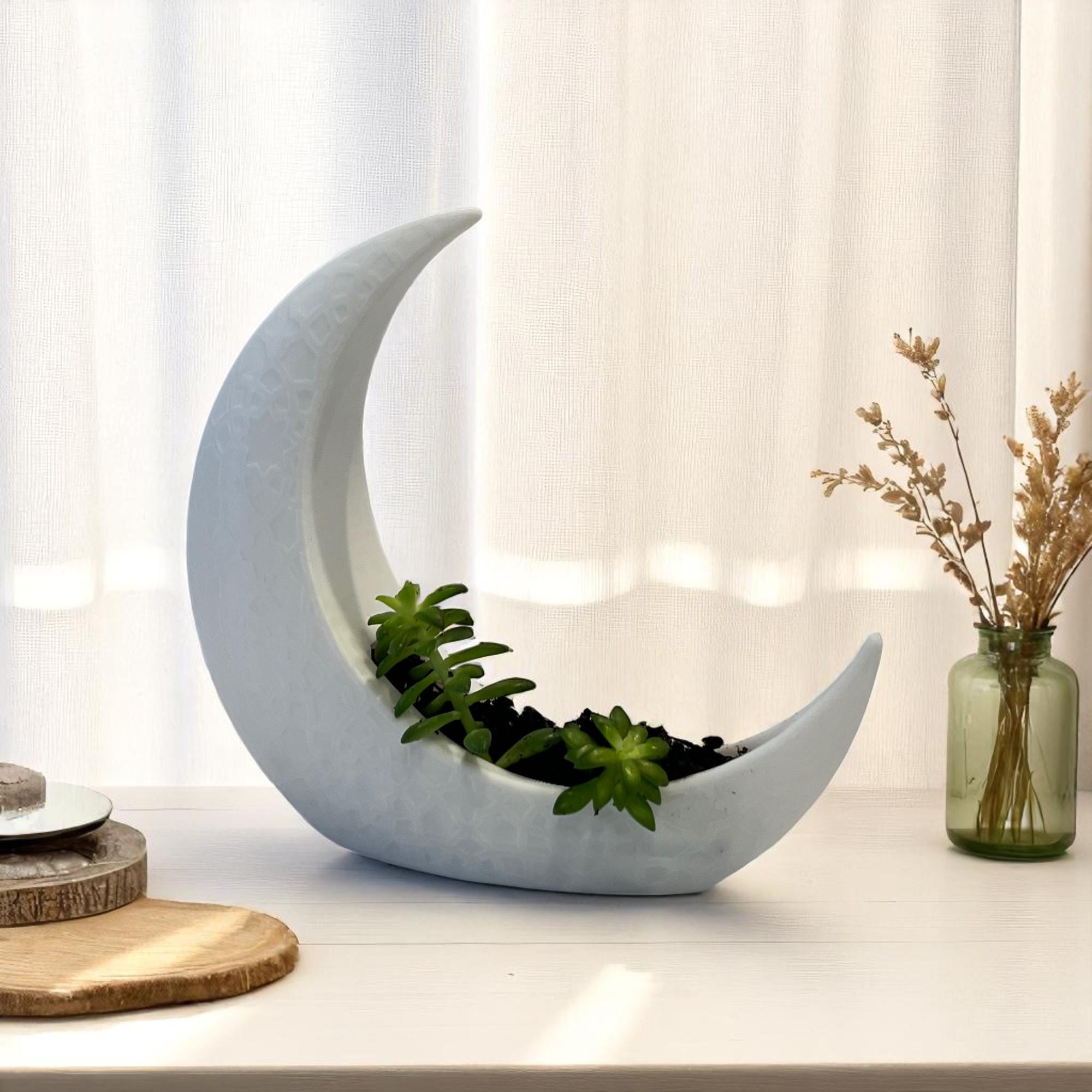 White Crescent Moon Succulent Planter with Shooting Star Sedum, Celestial Lunar Plant Gift - Winterberry Hearth