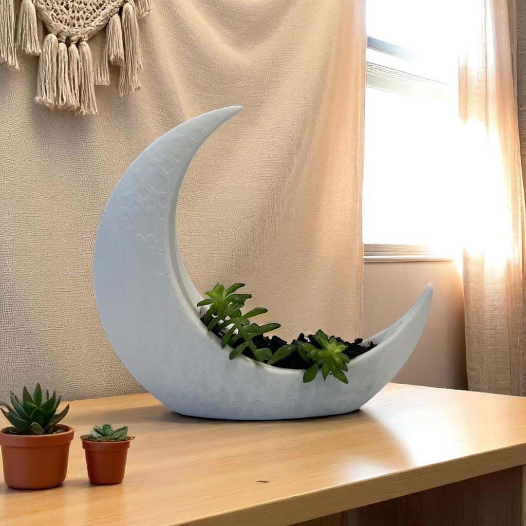 White Crescent Moon Succulent Planter with Shooting Star Sedum, Celestial Lunar Plant Gift - Winterberry Hearth