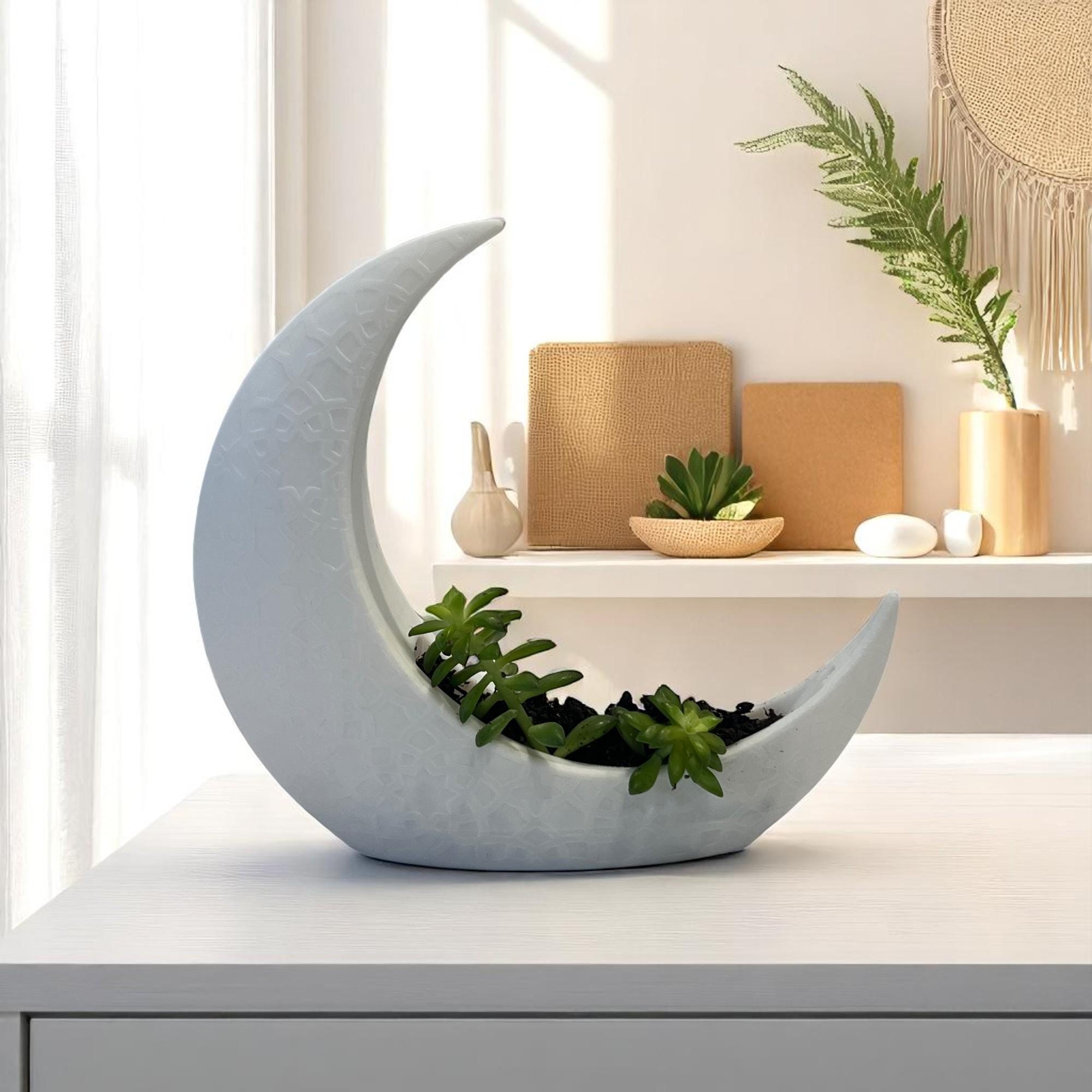 White Crescent Moon Succulent Planter with Shooting Star Sedum, Celestial Lunar Plant Gift - Winterberry Hearth
