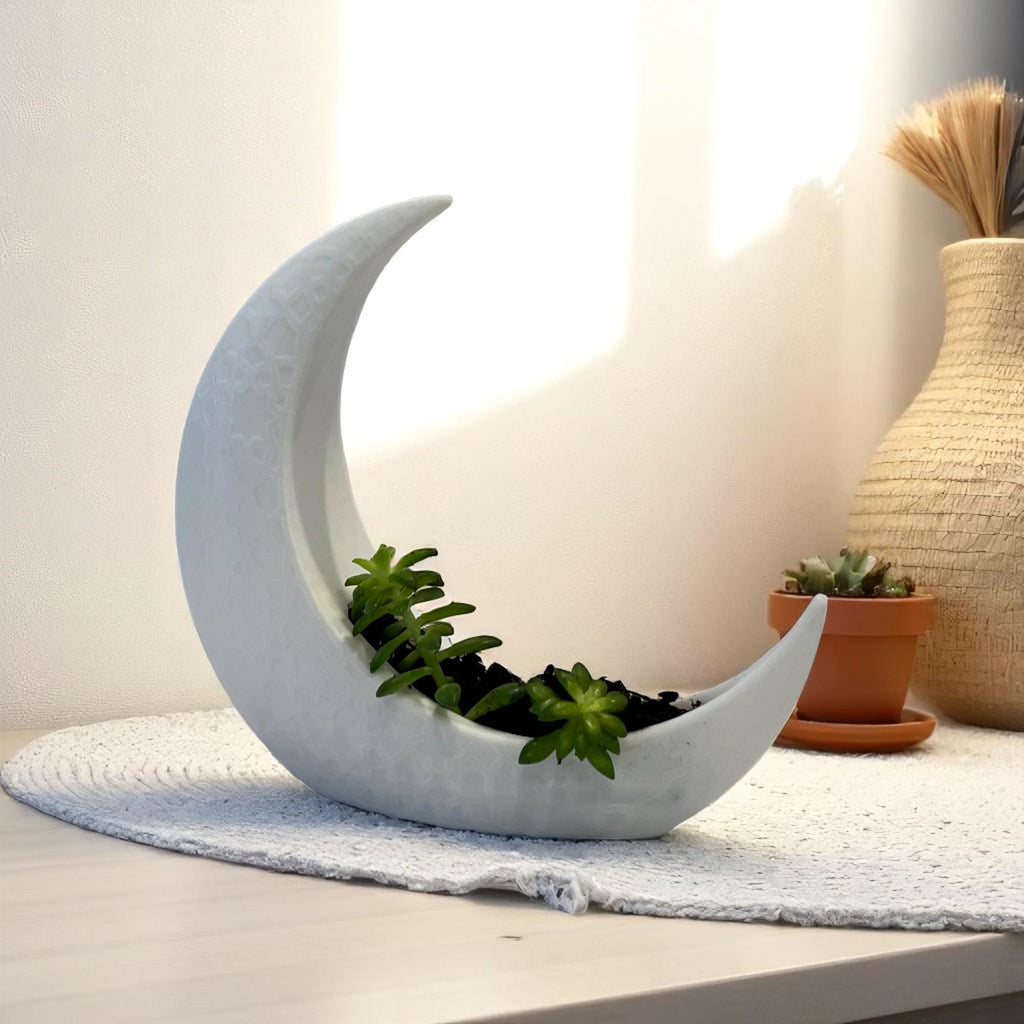 White Crescent Moon Succulent Planter with Shooting Star Sedum, Celestial Lunar Plant Gift - Winterberry Hearth